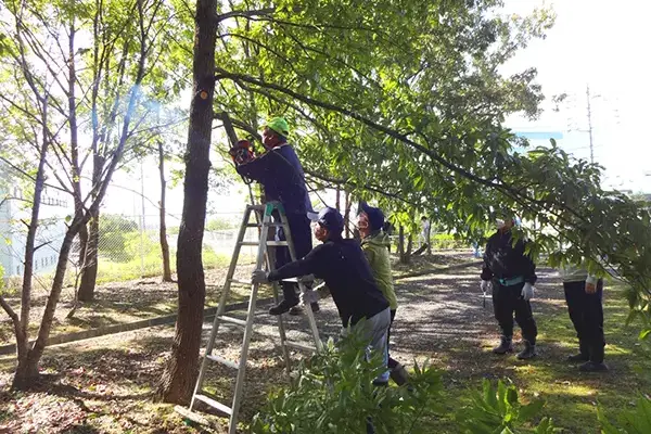 近隣地域の緑地整備活動