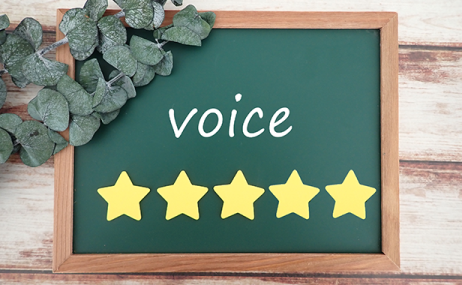 VOICE