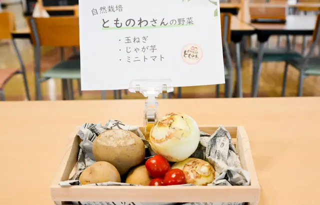 Introduction of cafeteria menu choices using non-standard fruit and vegetables produced at local farms and vocational training centers for people with disabilities