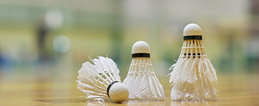 勉強会＆サークル活動