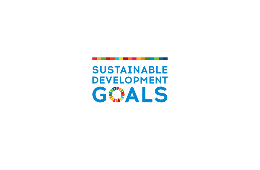 SUSTAINABLE DEVELOPMENT GOALS